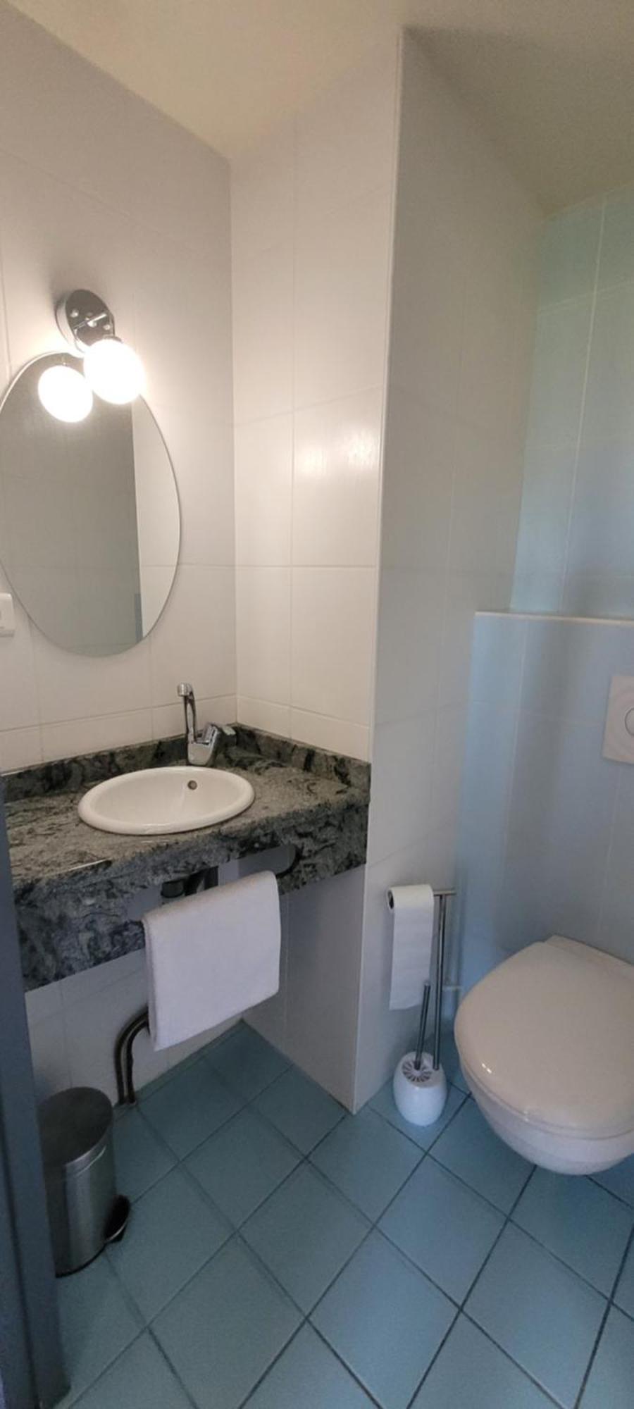 Yssingeaux Logis Hotel Restaurant Le Cygne מראה חיצוני תמונה